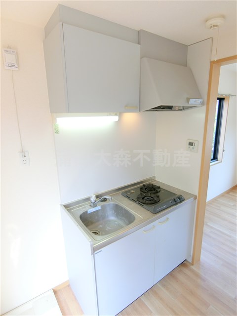 キッチン　2口ガスシステムキッチン