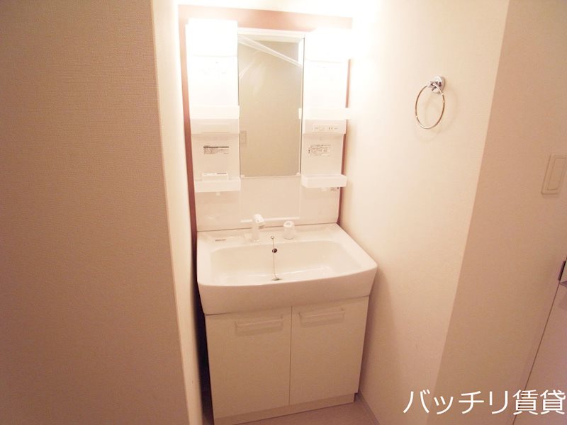 洗面設備　別号室タイプの為、現状を優先いたします