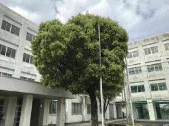 小学校　沼津市立開北小学校（小学校）まで2108m