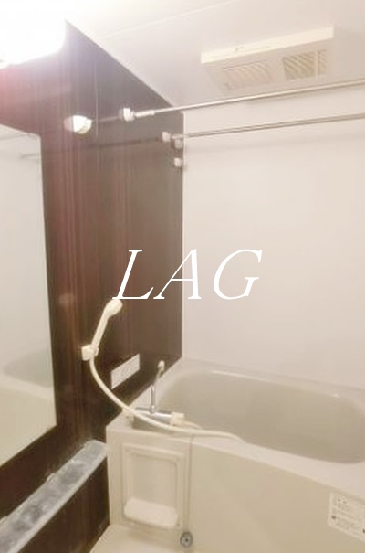 バス・シャワールーム　お風呂（同仕様）です。