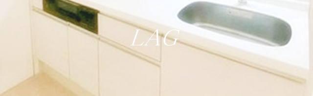 収納　キッチン下収納（同仕様）です。