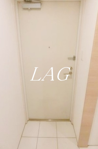 玄関　玄関（同仕様）です。