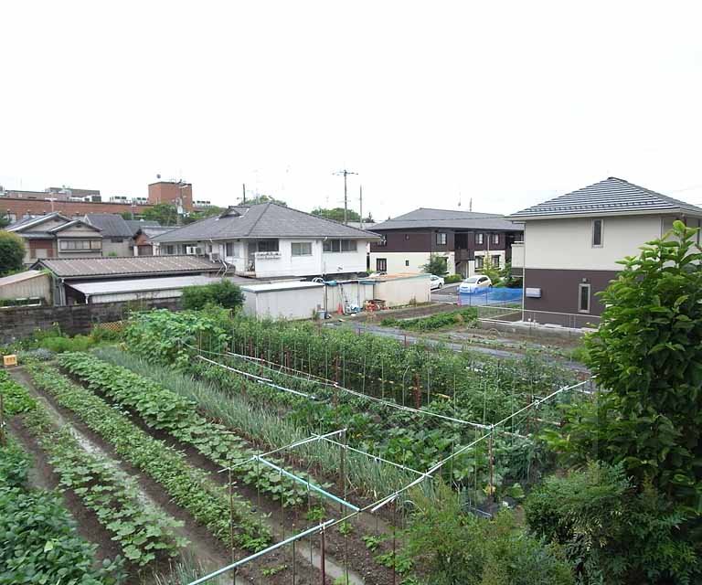 眺望　２階からの参考風景