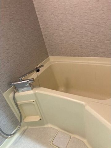 バス・シャワールーム　※写真は同じマンションの違う部屋のものになります。