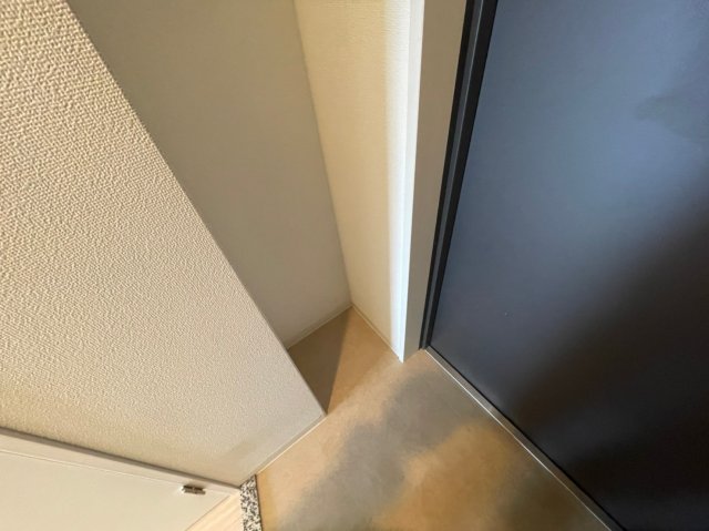 玄関　(参考)同マンション別間取り他部屋の写真（反転タイプ）