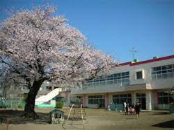 幼稚園・保育園　桜台保育園（幼稚園・保育園）まで335m