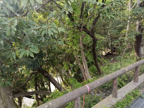 公園　7号大野緑地（公園）まで1108m