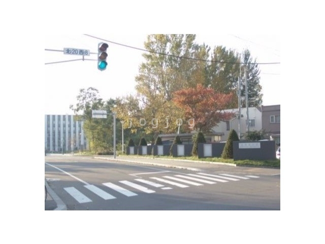 大学・短大　国立北海道大学　北２０条東門（大学・短大）まで1068m