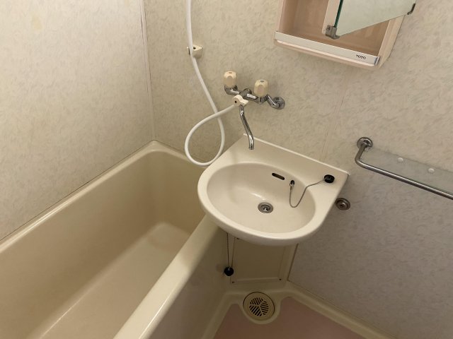 セレーネ田辺III-Bの風呂写真