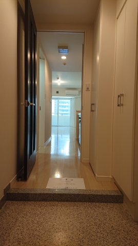 玄関　落ち着いた玄関です