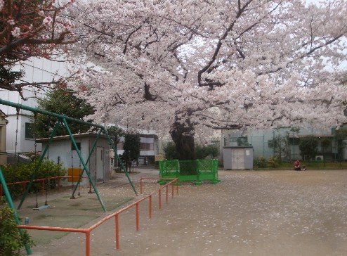 公園　塔の山公園（公園）まで986m