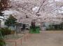 公園　塔の山公園（公園）まで986m