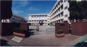 小学校　葛飾区立新宿小学校（小学校）まで1167m