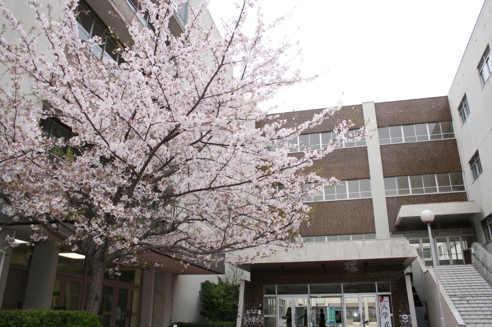 小学校　大阪市立 矢田北小学校（小学校）まで403m
