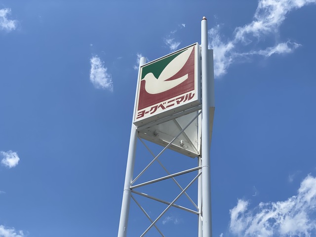 スーパー　ヨークベニマル柳生店（スーパー）まで336m