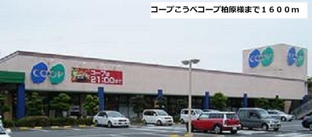 その他　コープこうべコープ柏原様まで1600m