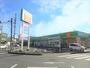 ドラックストア　ドラッグ・エース箭弓町店（ドラッグストア）まで553m