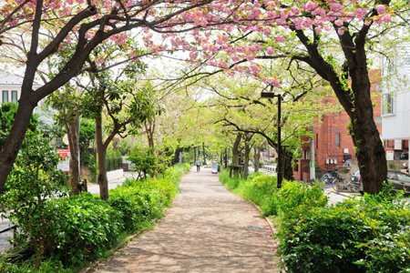 公園　呑川緑道（公園）まで327m