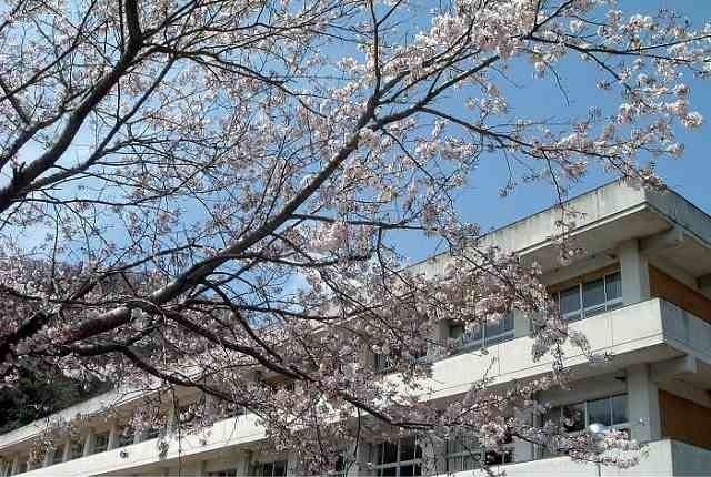 【竹原市東野町のアパートの小学校】