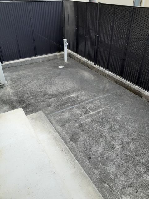 庭