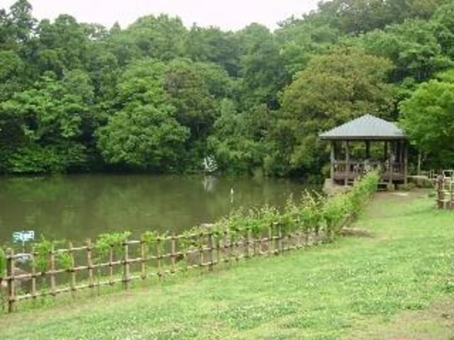 公園　泉谷公園（公園）まで631m