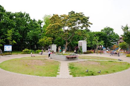 公園　小泉公園（公園）まで564m