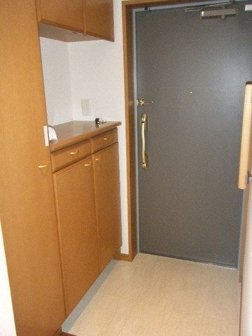 玄関　同じ間取りの別部屋写真