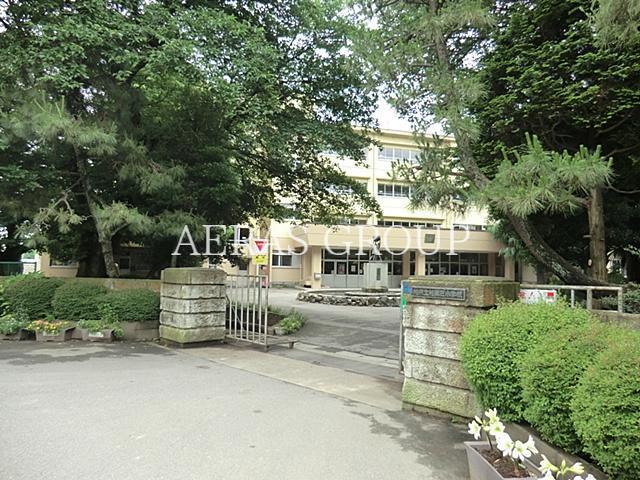 小学校　柏第三小学校（小学校）まで738m