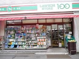 コンビニ　ローソンストア100渋谷恵比寿二丁目店（コンビニ）まで317m