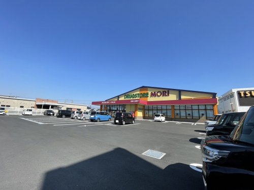 ドラックストア　ドラッグストアモリ 八代松江店（ドラッグストア）まで683m