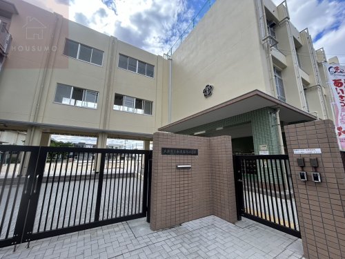 小学校　大阪市立加美南部小学校（小学校）まで277m