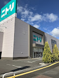 ホームセンター　ニトリ厚別店（ホームセンター）まで551m