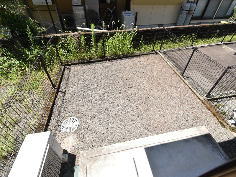 庭