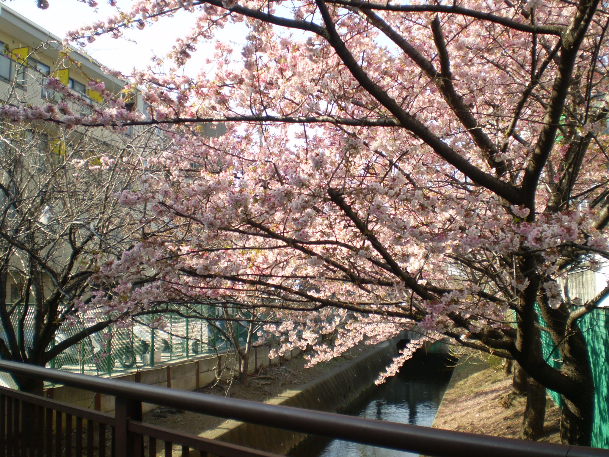 【川崎市中原区今井上町のマンションのその他共有部分】