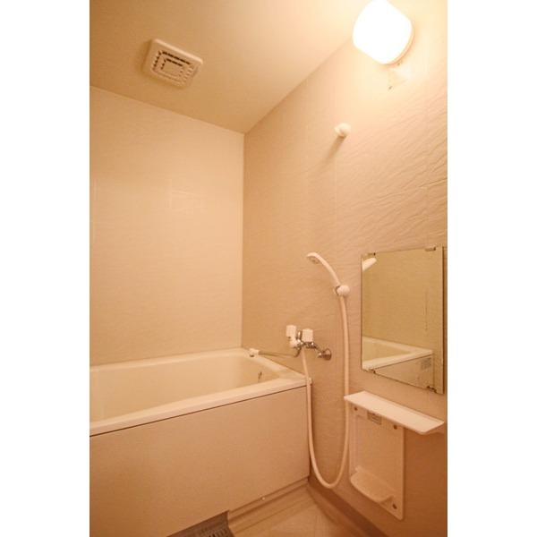 バス・シャワールーム　同じ建物の別なお部屋