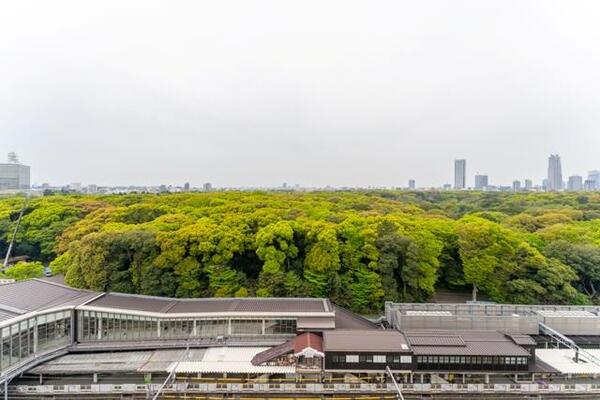 【渋谷区神宮前のマンションの眺望】