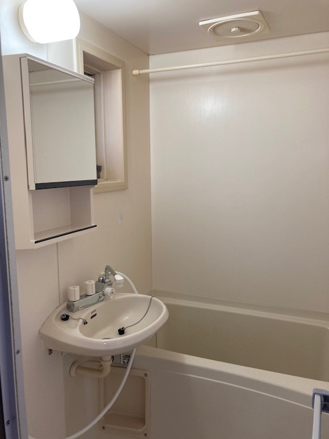 バス・シャワールーム　洗面と浴槽