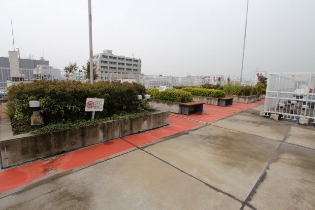 その他　屋上ドックラン