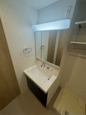 洗面設備　スペースが確保できる洗面所です