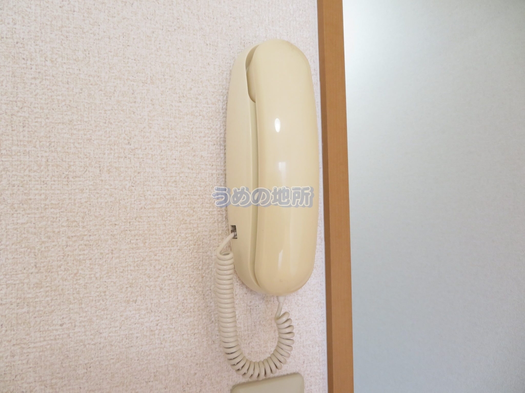 セキュリティ　インターフォン