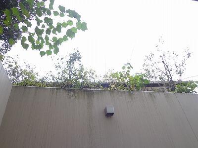 その他　外の様子です