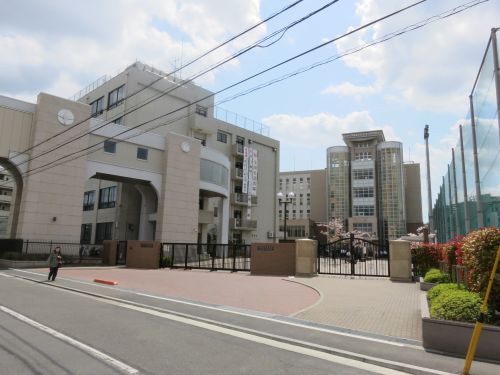 中学校　日本大学 中学校|日本大学高等学校（中学校）まで437m