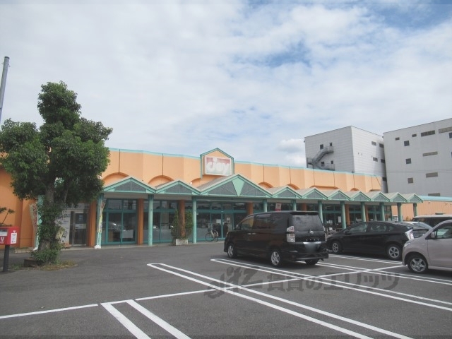 スーパー　ジョイショッピングセンター（スーパー）まで800m