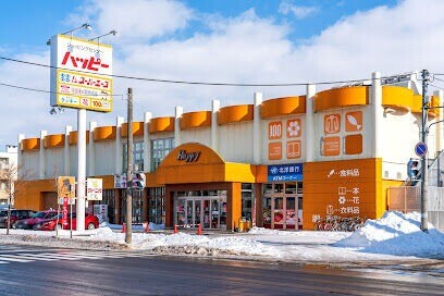 スーパー　スーパーエース30条店（スーパー）まで781m
