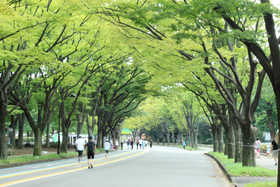 公園　駒沢公園（公園）まで414m