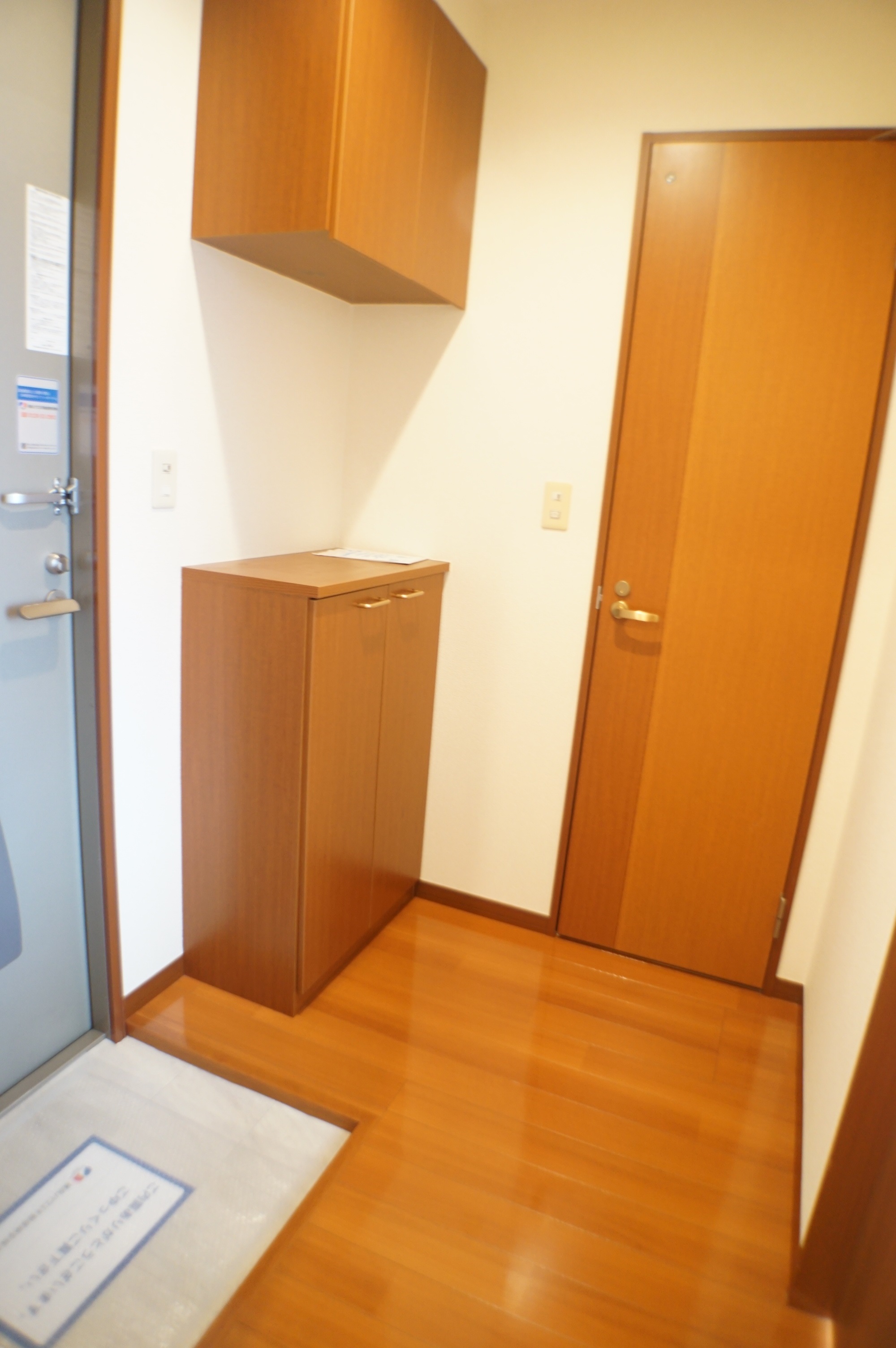 玄関　セパレートタイプのシューズボックス