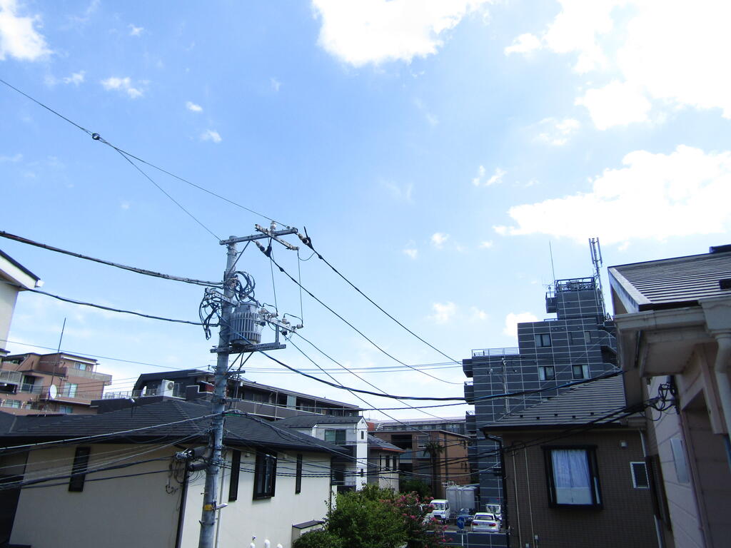 ドラセナのその他写真