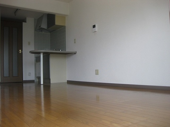 居室・リビング　他号室のお写真です