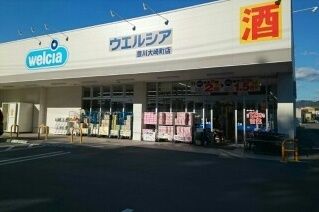 ドラックストア　ウエルシア豊川大崎町店様（ドラッグストア）まで730m
