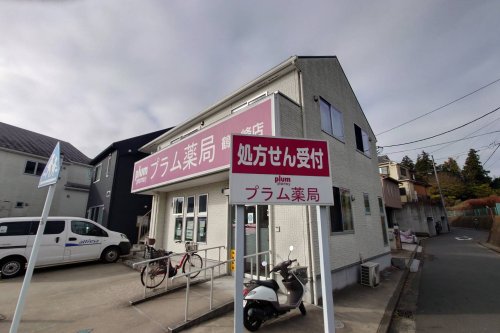 ドラックストア　プラム薬局（ドラッグストア）まで534m